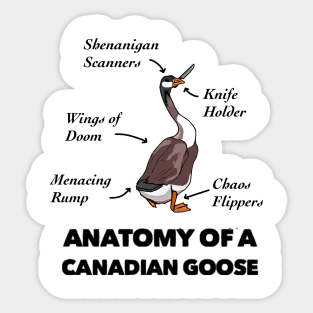 Anatomy of a Canadian Goose Sticker